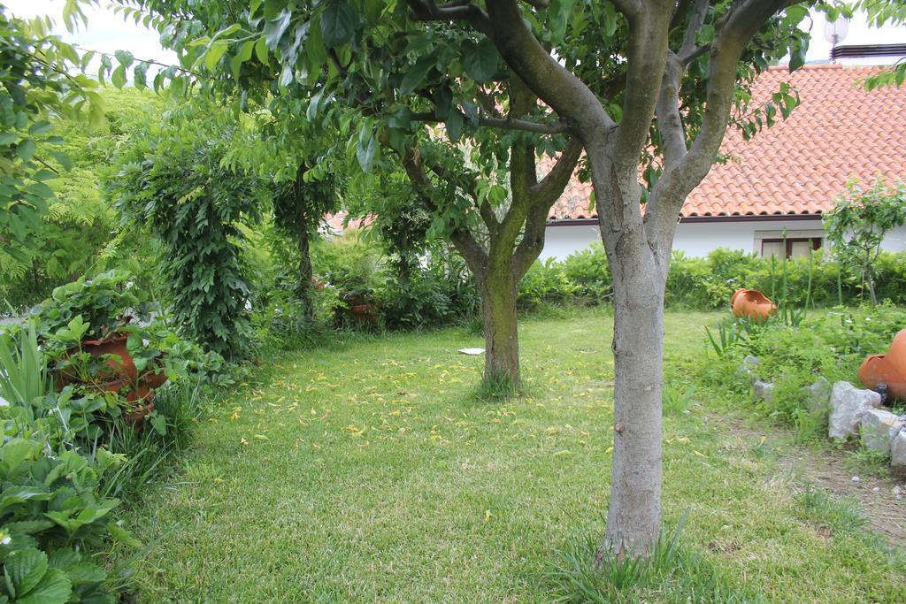 Casa De Tapadeiro Villa Resende Dış mekan fotoğraf